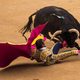 Illustration for article titled Sometimes the Bull Wins